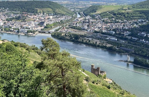 Mainz-Bingen House | Lovingly renovated Art Nouveau house with a large garden and terrace