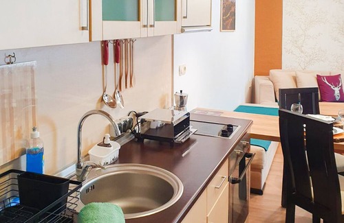 Pamporovo Apartment | Low Cost 2 Bedrooms Pamporovo Joy Apartment