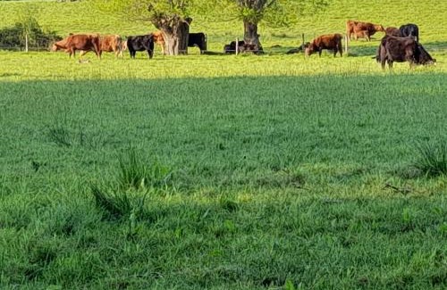 Norton St. Philip Other | Lower Haven Shepherds Hut