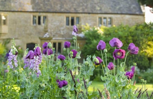 Crewkerne Bed & Breakfast | Lower Severalls Farmhouse