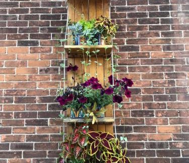 Prince Edward Apartment | Loyalist Lofts