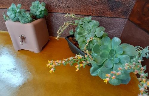 Lavras Novas House | Luar de Minas suites