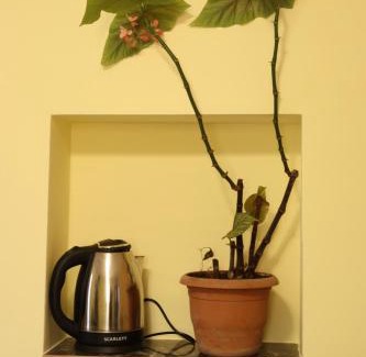 Garni House | Lucy B&B
