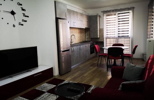 Tirgu Mures Apartment | Ludi House Apartment