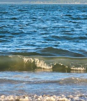 Florianopolis Apartment | Lugar Aconchegante 3