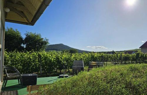 Villany Apartment | Lugas Apartman