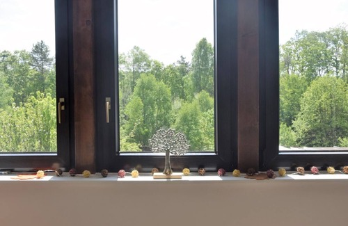 Merzalben Apartment | Luitpoldturm - Holiday home Gräfensteiner Land