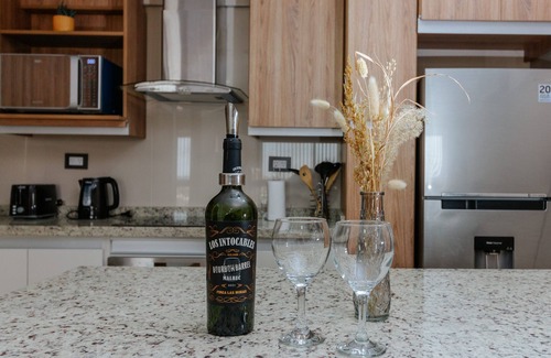 Mendoza City Center Apartment | Lujoso departamento a estrenar con amenities!