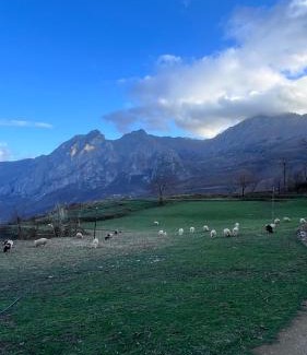 Kukes County House | Lulebore Guesthouse