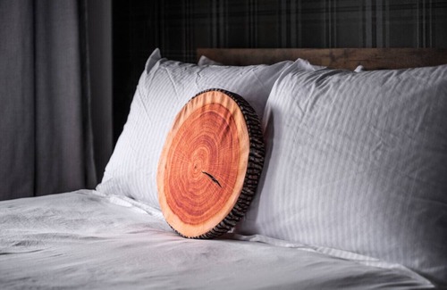 Balsam Lake Hotel | LumberJill Lodge #14 | Two Cozy Queen beds