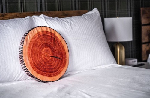 Balsam Lake Hotel | LumberJill Lodge #14 | Two Cozy Queen beds