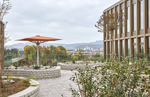 Schenkon Apartment | Lumen Apartments