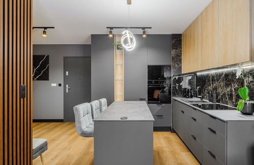 Lodz Apartment | Lumina apart with luxury garden