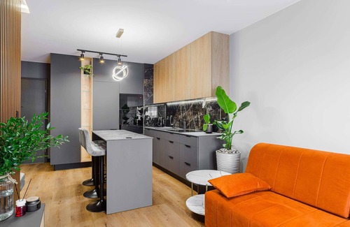 Lodz Apartment | Lumina luxury apartment with garden