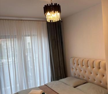 Zalau House | Luminia Gold Bradet