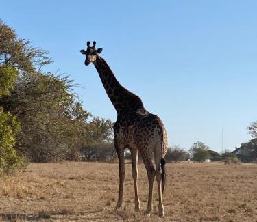 Leeupoort Villa | Luna Crescente 19 and 19A Zebula golf and spa resort 14 Pax Bela Bela Limpopo