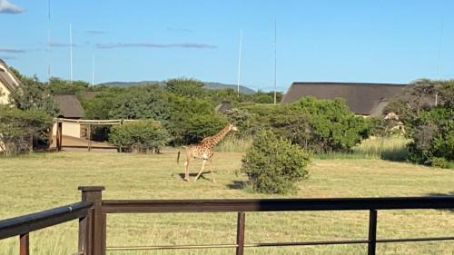 Leeupoort Villa | Luna Crescente 19 and 19A Zebula golf and spa resort 14 Pax Bela Bela Limpopo