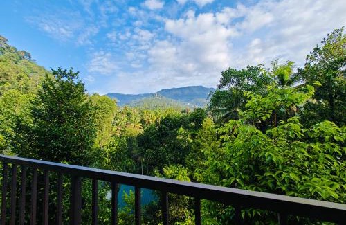 Kunchithanny House | Luna Munnar
