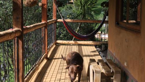 Rionegro House | Luna Verde Eco Hábitat