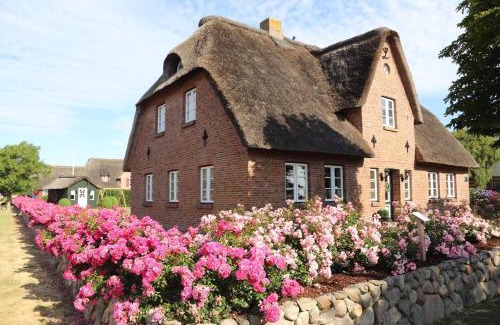 Dunsum House | Lunhues Lucia