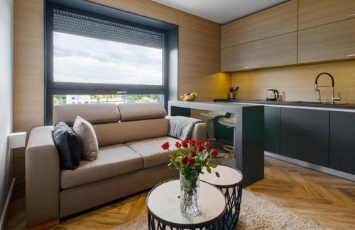 Lodz Apartment | Lupoapartments
