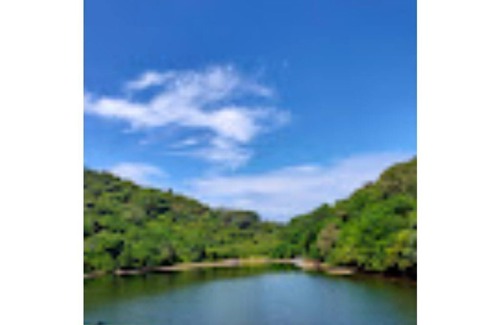 Jogeshwari West Apartment | Lush 3-Bedroom/4-Bathroom Villa with Private Pool