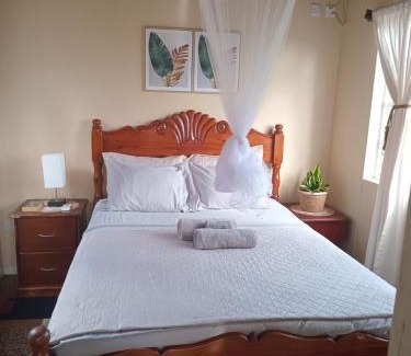 Gros Islet Apartment | Lush Green Villa with mountain and garden view