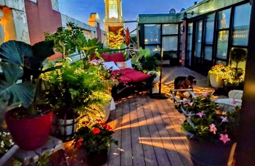 Downtown Louisville Condo | Lush Rooftop Terrace City views A luxurious stay in Central Downtown Arean
