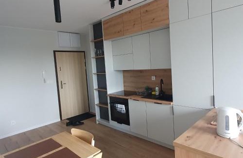 Leszno Apartment | LUX Apartament Free Parking
