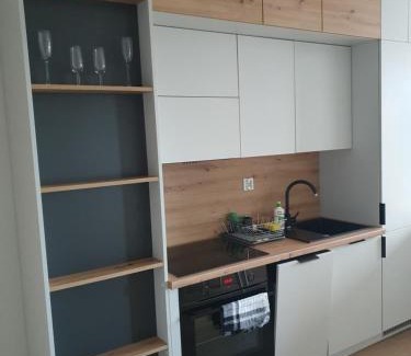 Leszno Apartment | LUX Apartament Free Parking