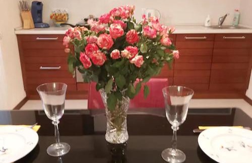Holosiivskyj Apartment | Lux Apartment, Liko Grad