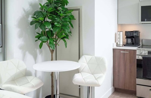 Central Square Apartment | Lux Studio 2x Queen beds Gym near MIT Harvard in Central Square