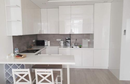 Holosiivskyj Apartment | LuxApartment