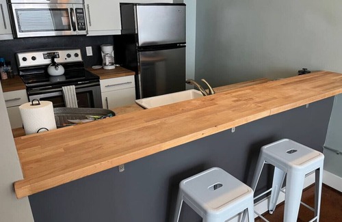 Roanoke Apartment | Luxe 1st Floor Apt: Walk to Breweries, Town, Food