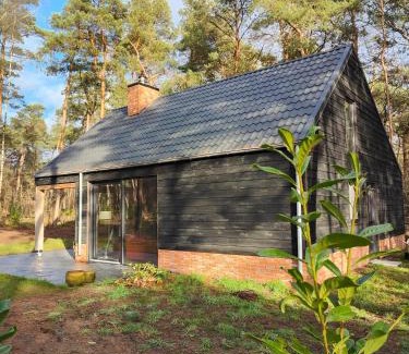 Giethmen House | Luxe boslodge Giethmen
