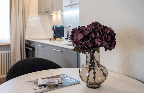 Davos Apartment | Luxe Davos Studio, Central, Walk to Lifts
