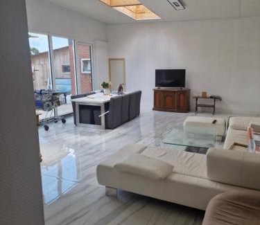 Manderveen Villa | Luxe woning 20 pers 9 slaapkamer Borg 250E