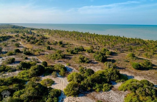 Caravelas Other | LUXOBRASIL #BA18 Fazenda Santa Bahia Seasonal Rent