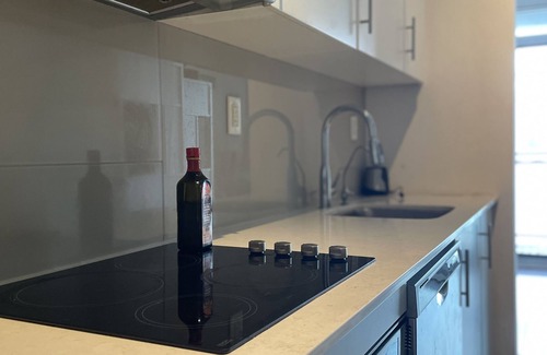 Old Town Condo | Luxurious 1DB Condo Minutes Away From The CN Tower