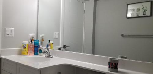 Winnipeg House | Luxurious 2 bedroom basement suite