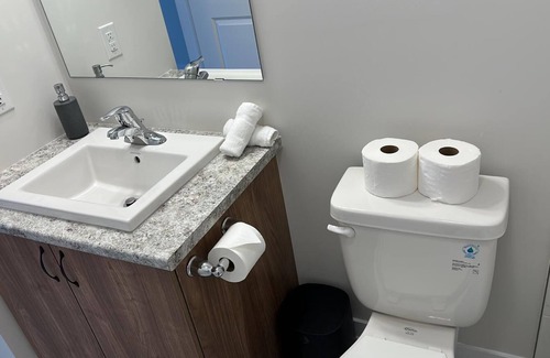 Ottawa Division House | Luxurious 2 bedroom house.Close to amenities, airport,downtown and EY centre.nn