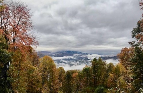 Clyde Cabin | Luxurious 4-bdrm cabin w/ mountain views & hot tub