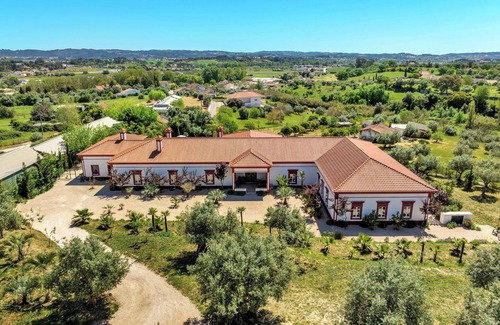 Tomar Villa | Luxurious 5-bedroom villa with AC, saltwater pool and lush gardens in Tomar