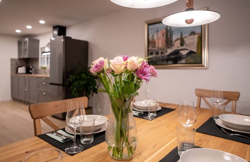 Gozd Martuljek Apartment | Luxurious Apartment, comfortable for 1-2 families with 2 bathrooms, Pet friendly