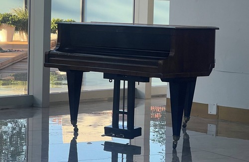 Mendoza City Center Apartment | Luxurious apartment in MENDOZA with first class amenities and spectacular views