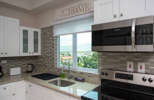 Eastwood Park Apartment | Luxurious Apartment in Kingston!