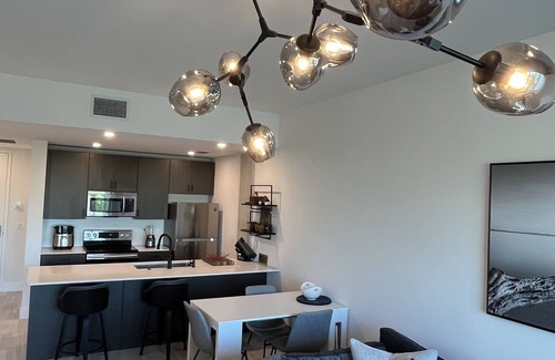 Rosemary District Condo | Luxurious Boutique Condo in the Heart of Sarasota.