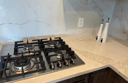 Surrey Apartment | Luxurious brand new 2 beds 2 baths apartment