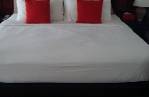 Mahasenpura Villa | luxurious comfort in middle of village
