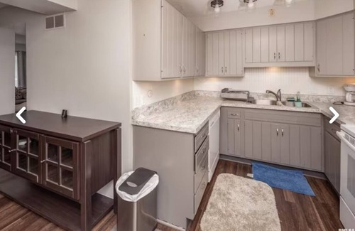 Moline Condo | Luxurious Condo family-friendly nCloser to attractions!nEatery,Walmart&lot more!